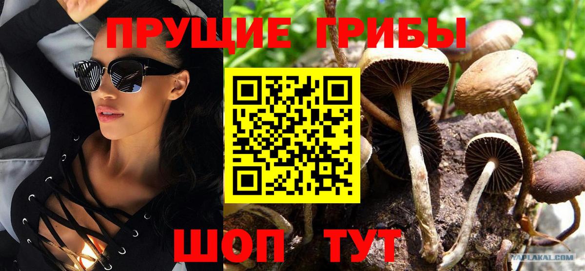 Псилоцибиновые грибы GOLDEN TEACHER  Галлюциногенные грибы мухоморы  Вход с VPN  Нягань 